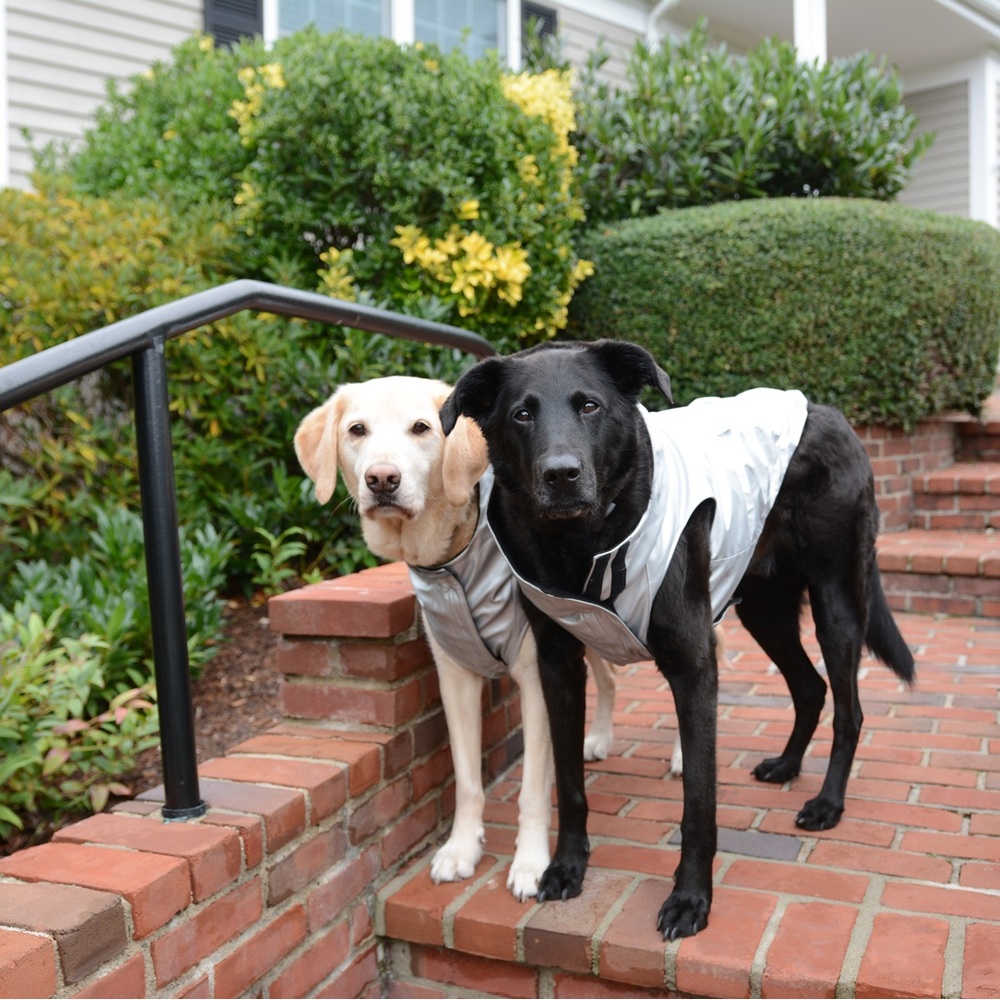 Canada Pooch Cold Front Raincoat